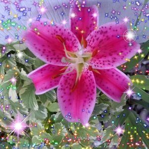 Meet your Posher, Sue